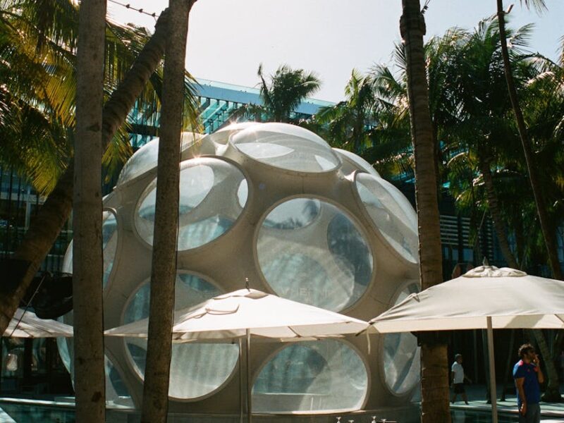 green palm tree near white round outdoor decor