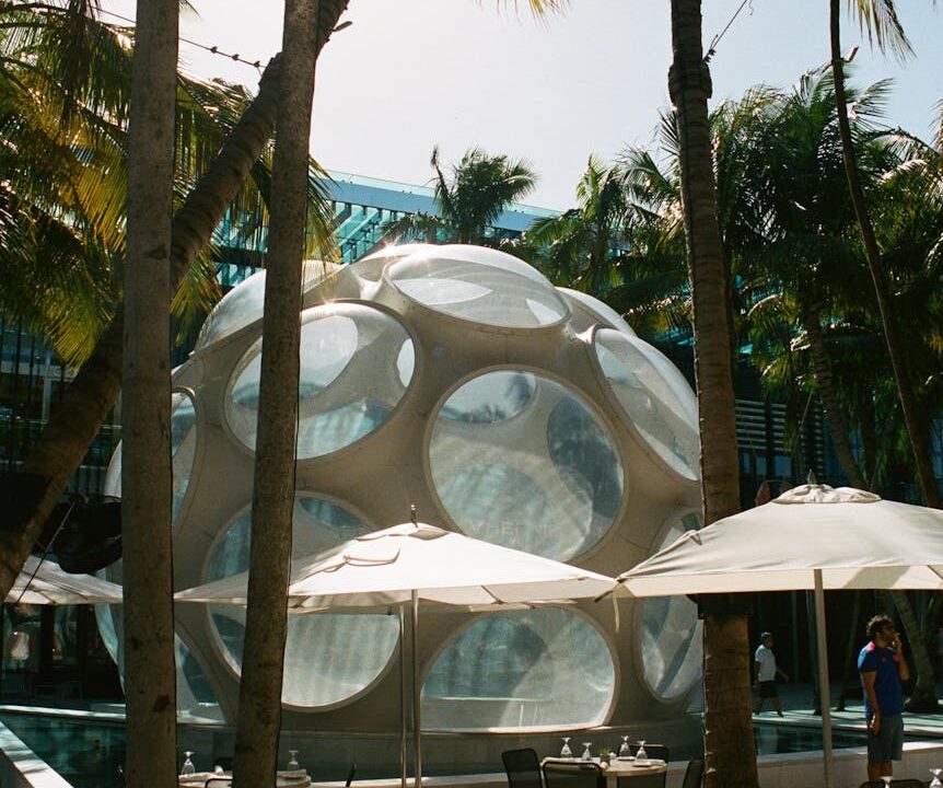 green palm tree near white round outdoor decor